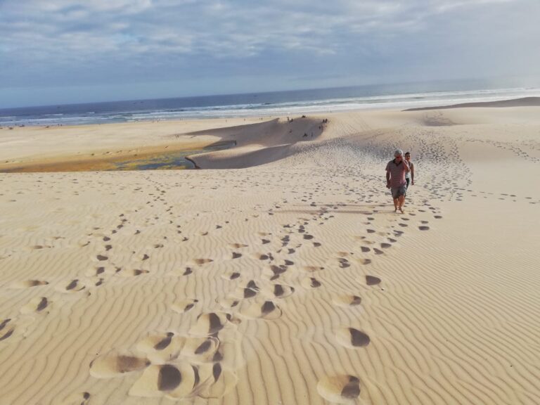 Why the Eastern Cape is South Africa’s Best-Kept Safari Secret